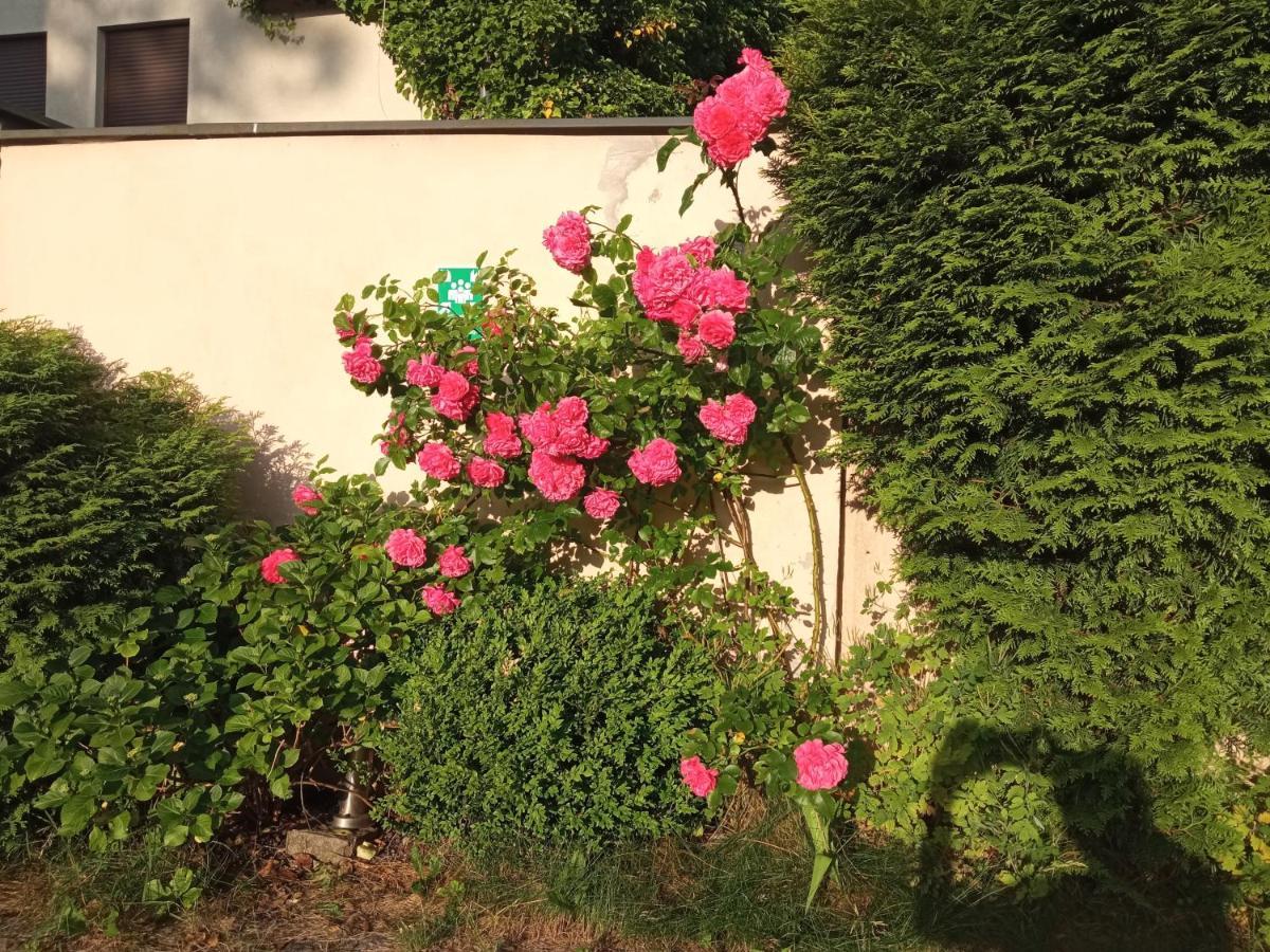 Iwona Hostel - Budget Rooms With Private Bathrooms Sopot Luaran gambar