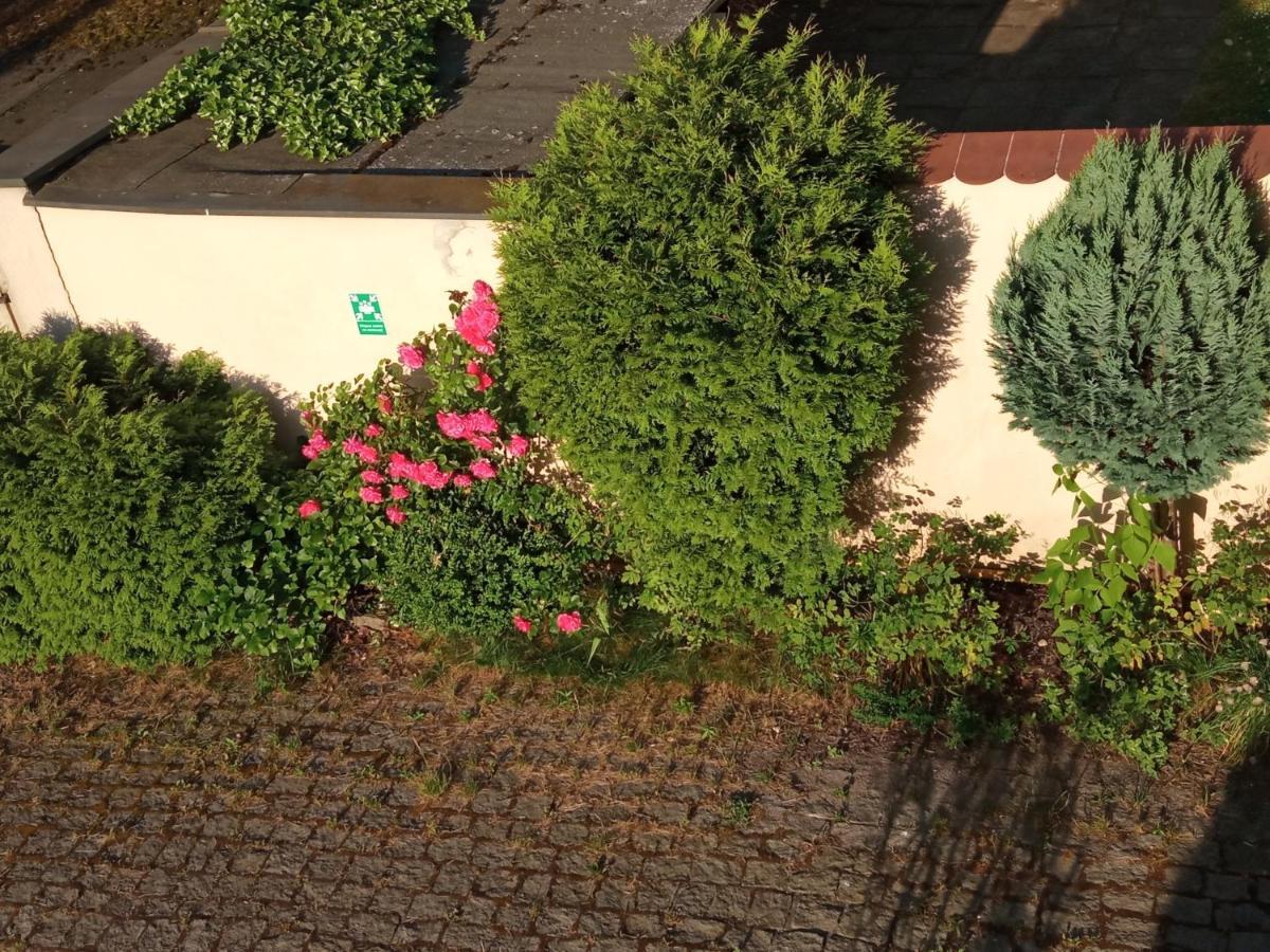 Iwona Hostel - Budget Rooms With Private Bathrooms Sopot Luaran gambar