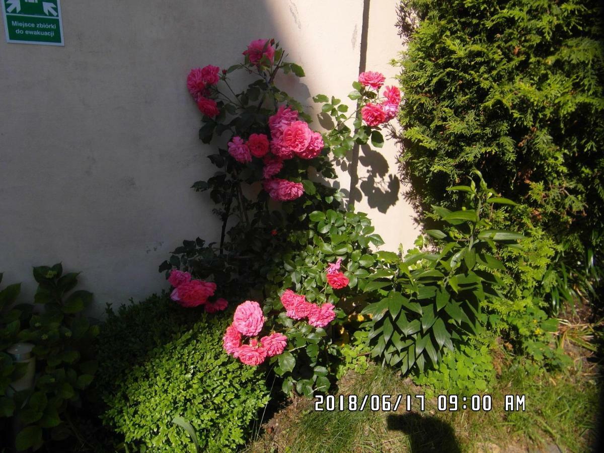 Iwona Hostel - Budget Rooms With Private Bathrooms Sopot Luaran gambar